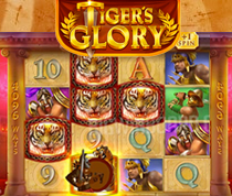 Tiger’s Glory Ultra